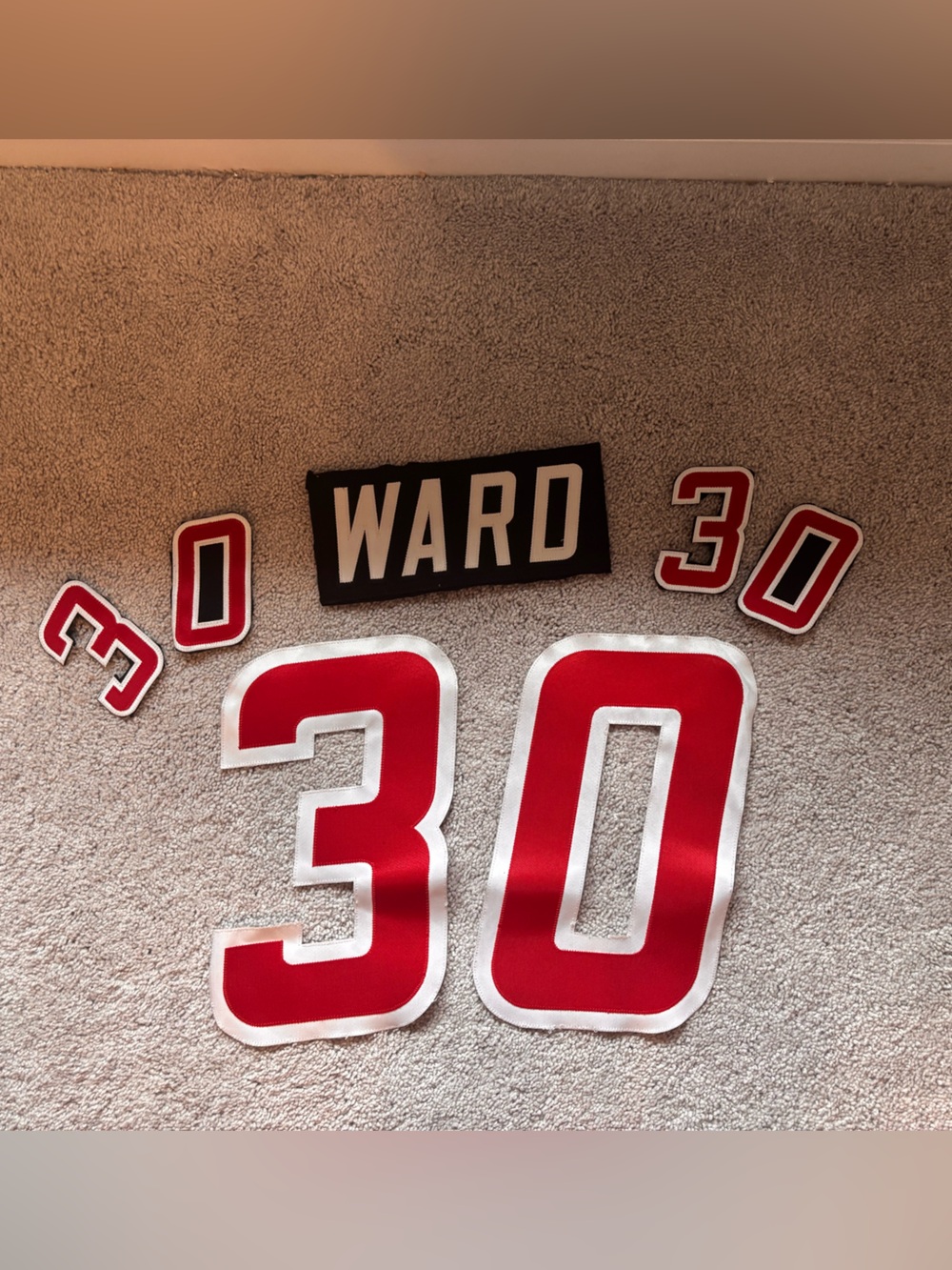 CAN WARD NAME PLATE & NUMBERS set